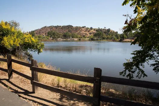 Oppose Further Hillside Development in Almaden