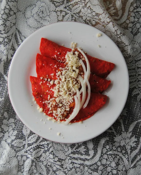 CALL BOOBS ENCHILADAS CON SALSA ROJA
