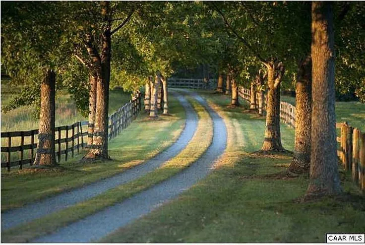 Keep Banks Road Private and Beautiful!