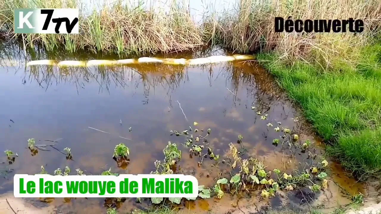 NON,NON et NON a un deuxieme Mbeubeus a MALIKA