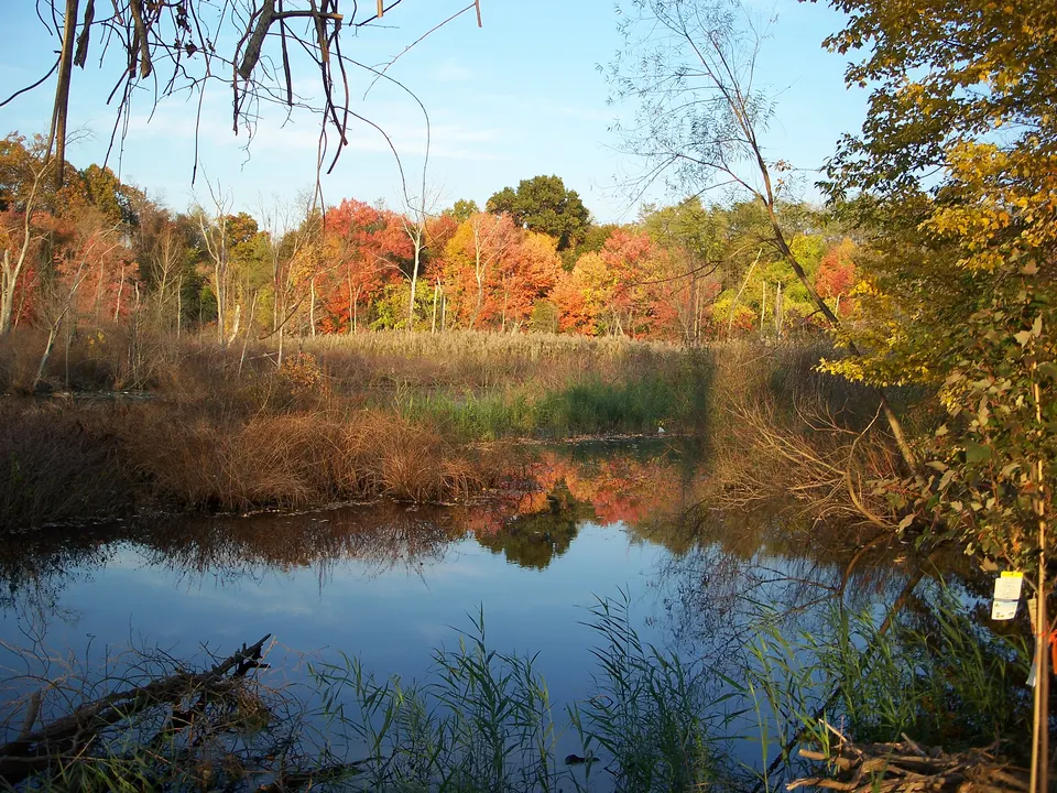Protect Beaver Hills Neighborhood and Park