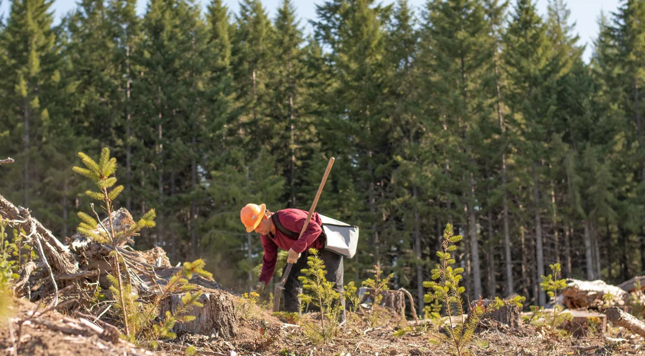 Save the trees for good!