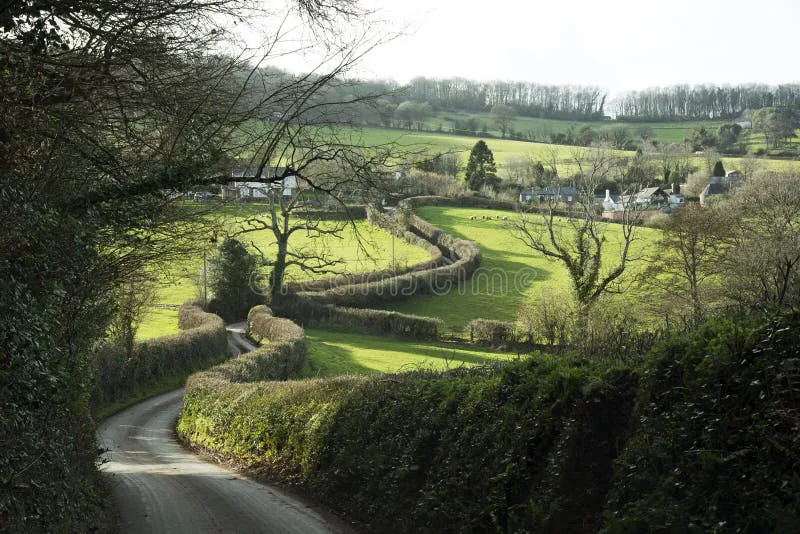 Council proposed development for Capel Street, Capel-Le-Ferne