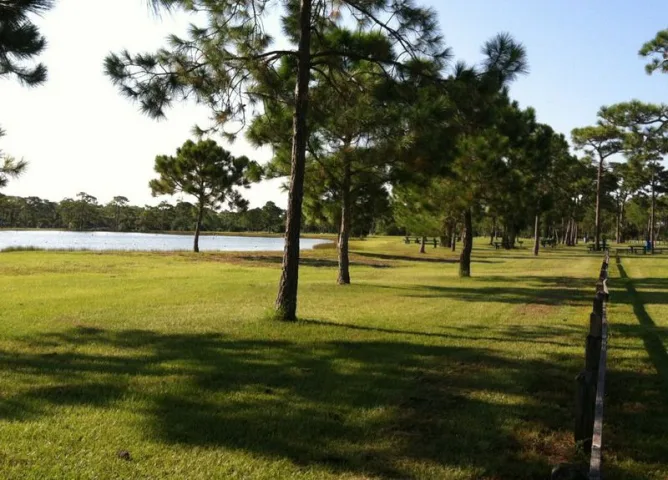 Save Wickham  Park!