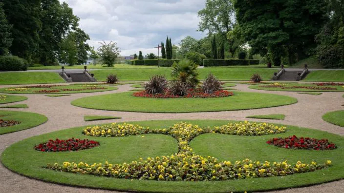 help stop the needless felling of the trees in queen's park