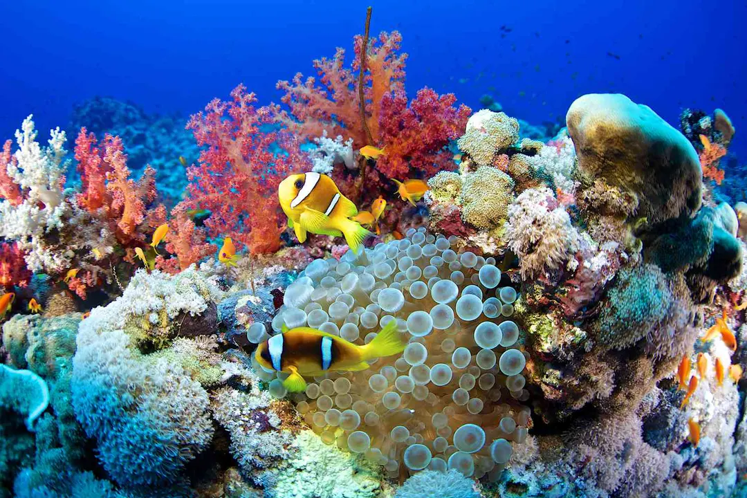 Be Kind To The Ocean