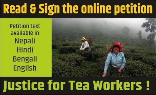 Justice for Tea Workers