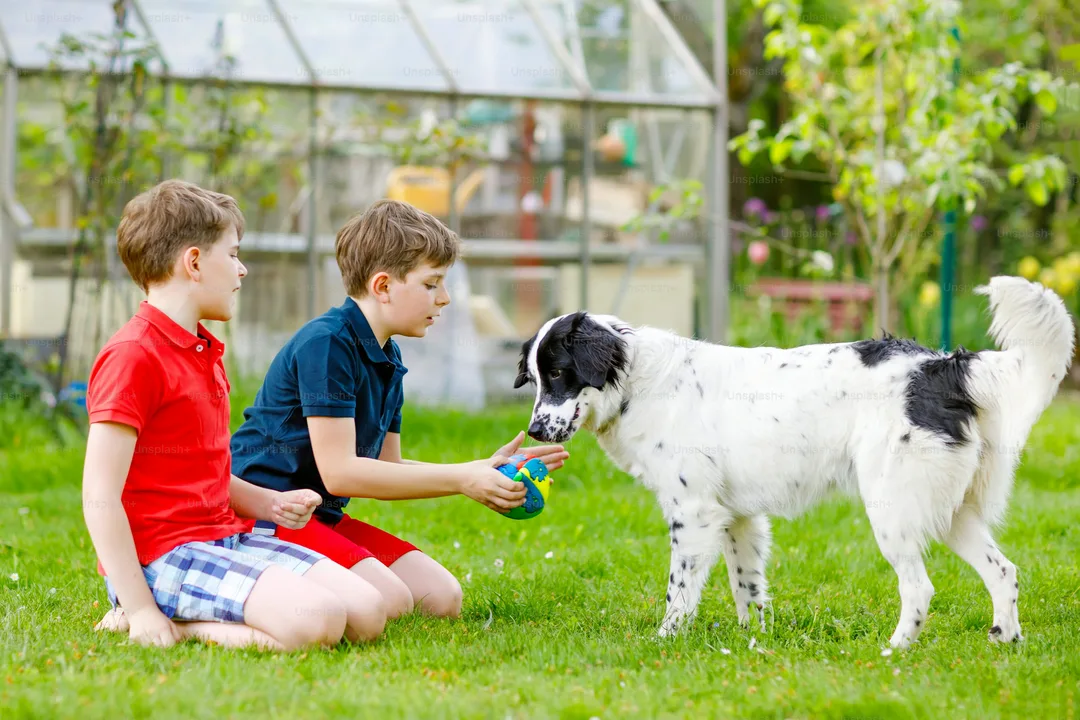 Allow Michael Vick to get a dog for his kids