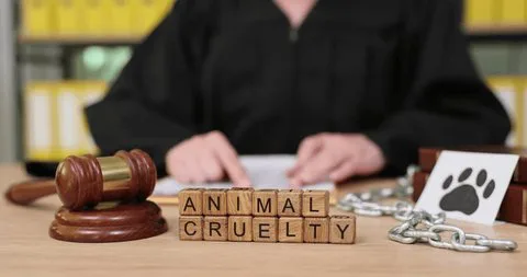 VT Man Illegally Traps & Kills Neighbor's Dog -  VT RESIDENTS ONLY