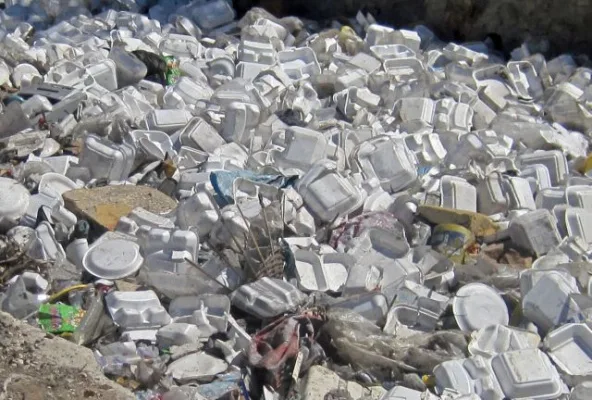 Exeter Styrofoam Ban