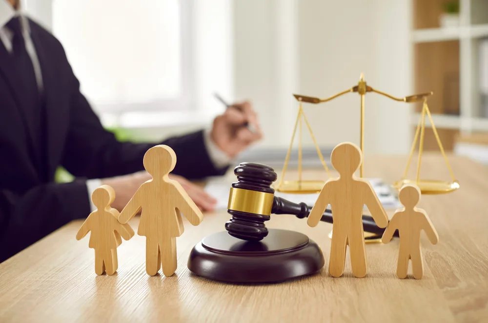Obtain Court Ordered Child and Family Support