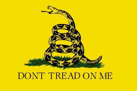 DO NOT BAN THE TEA PARTY FLAG!