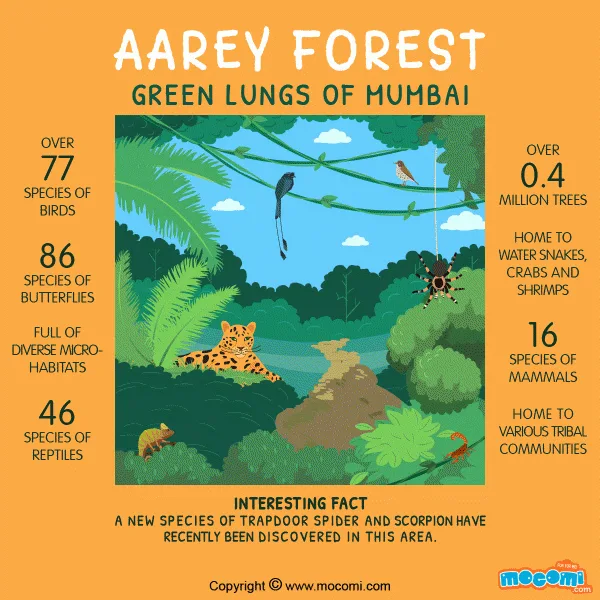 cities green lungs need you