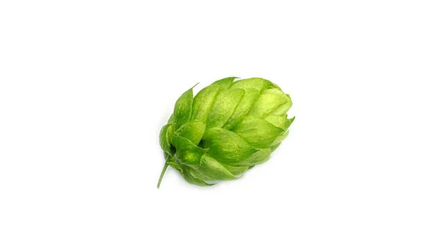 Name new hop variety 'Wallex'