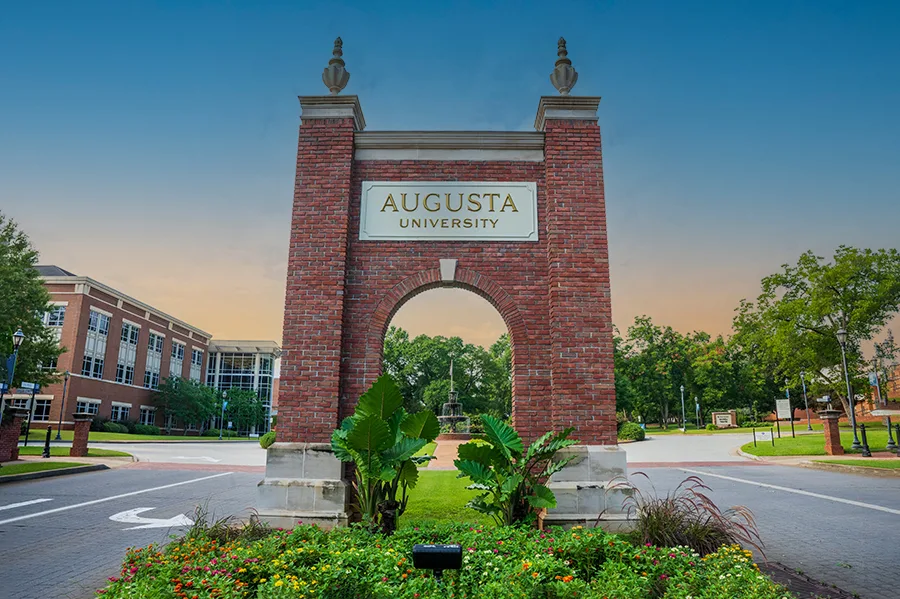 Petition to the ASU/GHSU Consolidation Branding Committee