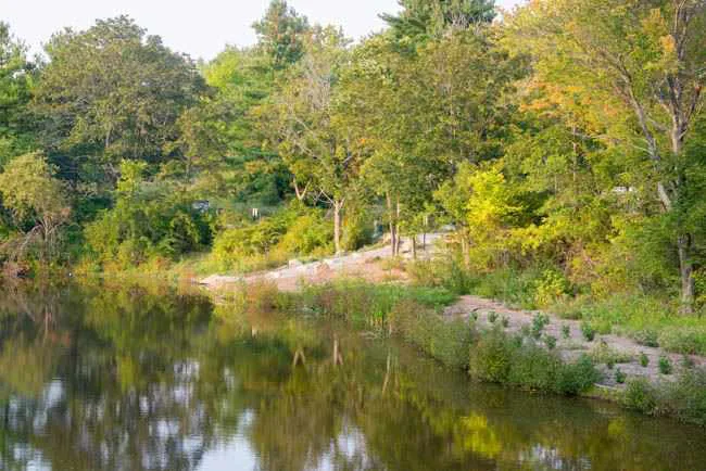 Ask the City Council to Fund the Capisic Pond Enhancement Project Now!