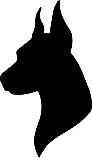 Keep the Competition in Dobermann Competitions