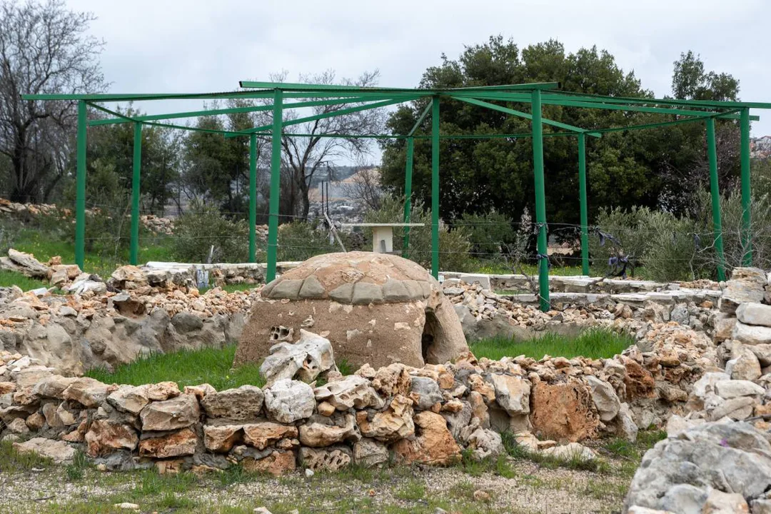 Stop the demolitions at Daher's Vineyard