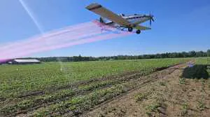 Stop Apple Moth Spraying in Monterey County