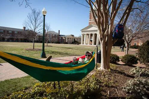 WFU Hammocks