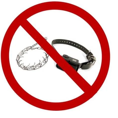 BAN SHOCK/PRONG COLLARS