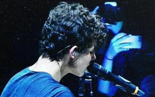 Bring Shawn Mendes to MK