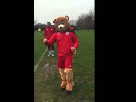 Save the Ballygowan Bear