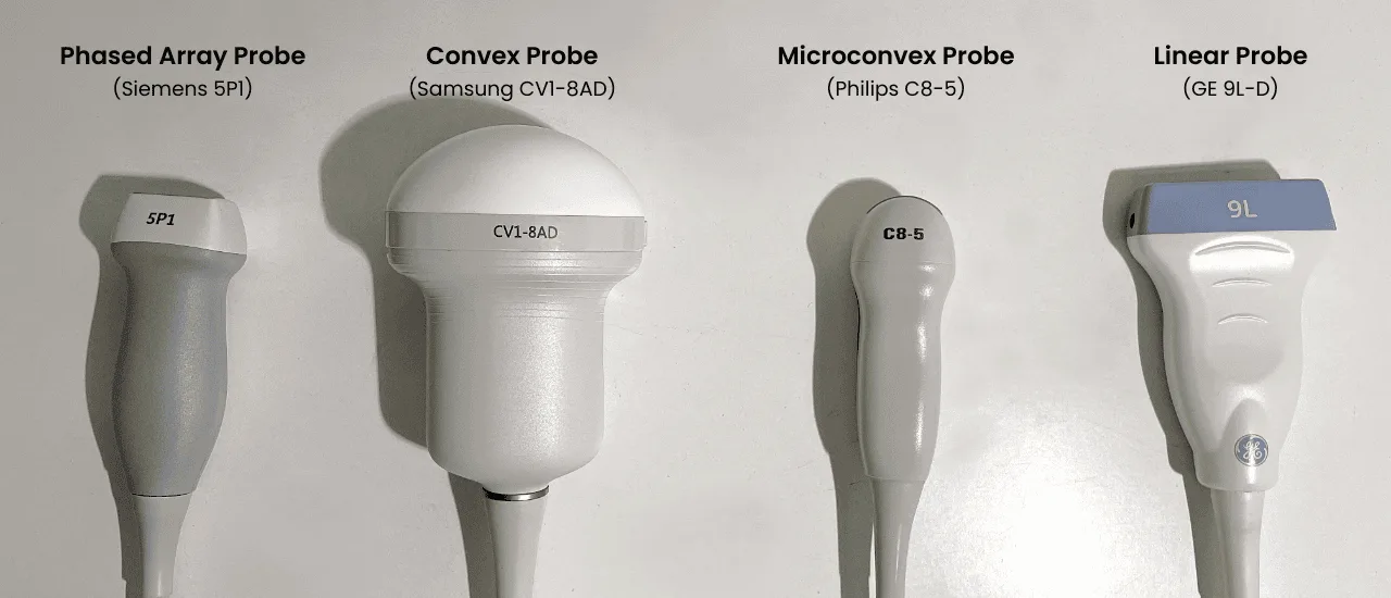 Manitoba Sonographers Against Self Regulation