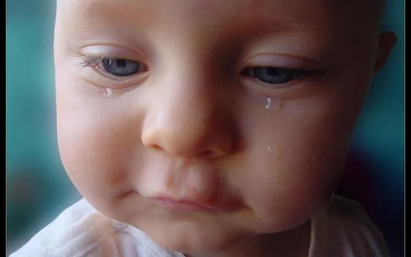 Stop Forced Adoption