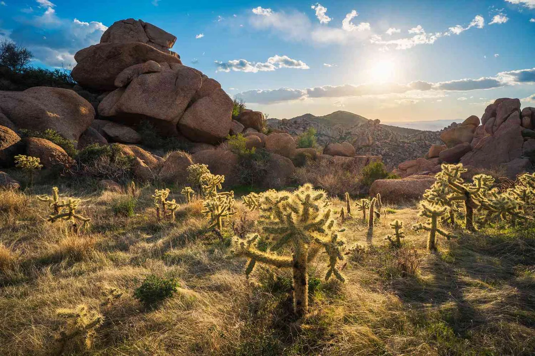 SAVE CAVE CREEK AND ASHLER HILLS ROADS!