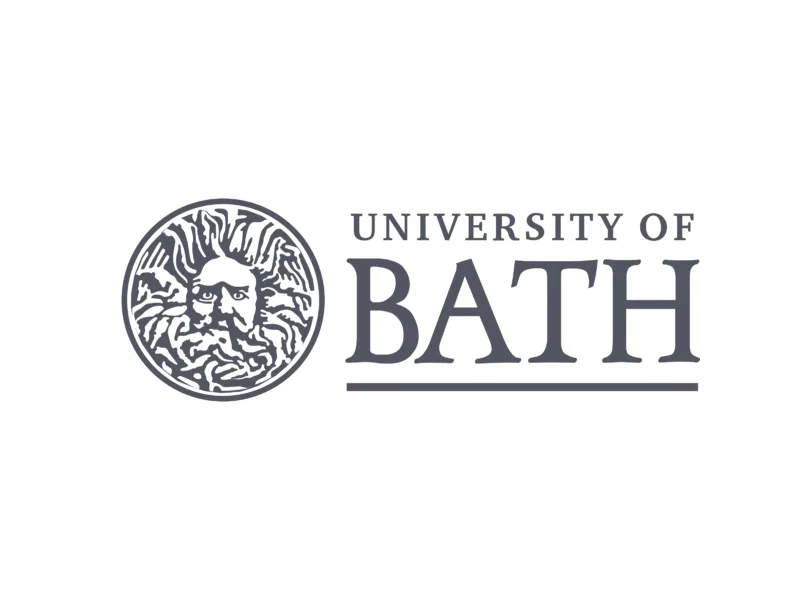 Letter to the Director of Undergraduate Studies, Re: MN30105