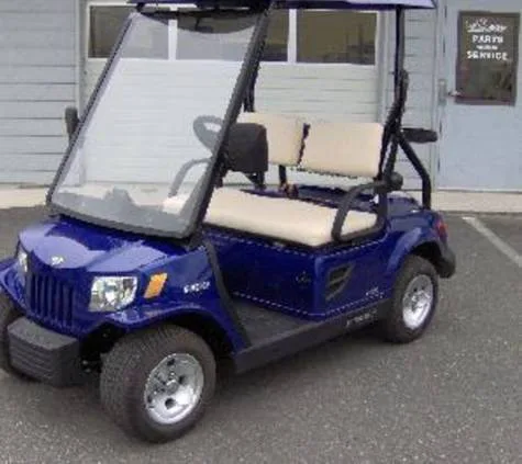 Not Legal - Please sign paper copies at local businesses. Stop the Golf Cart Program Roll out and allow the community to vote!