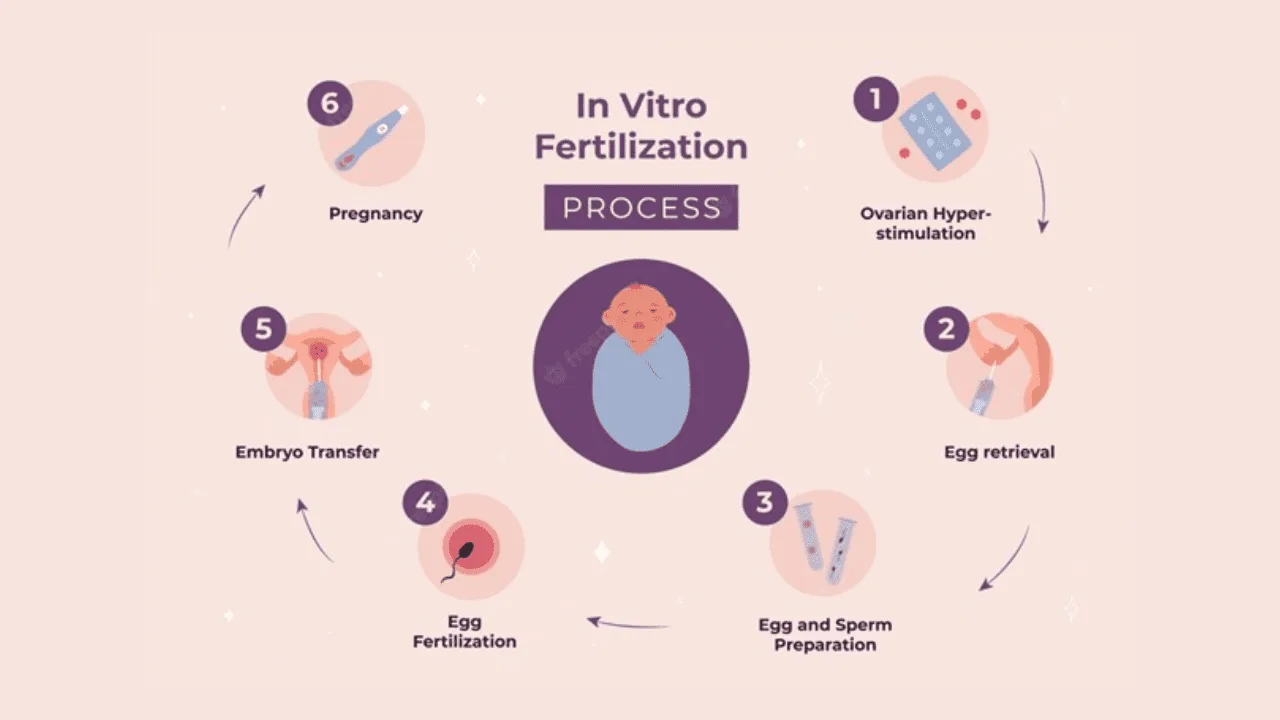 Mississippi Infertility Insurance Mandate