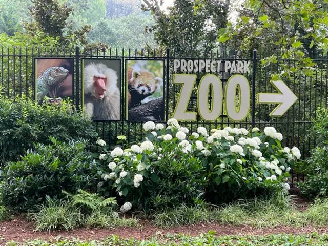 Bring back Prospect Park Zoo Animal Theater Demos