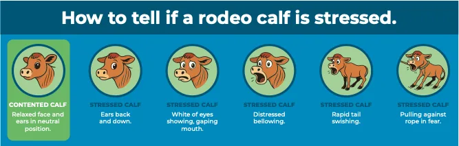 Closing All Rodeos