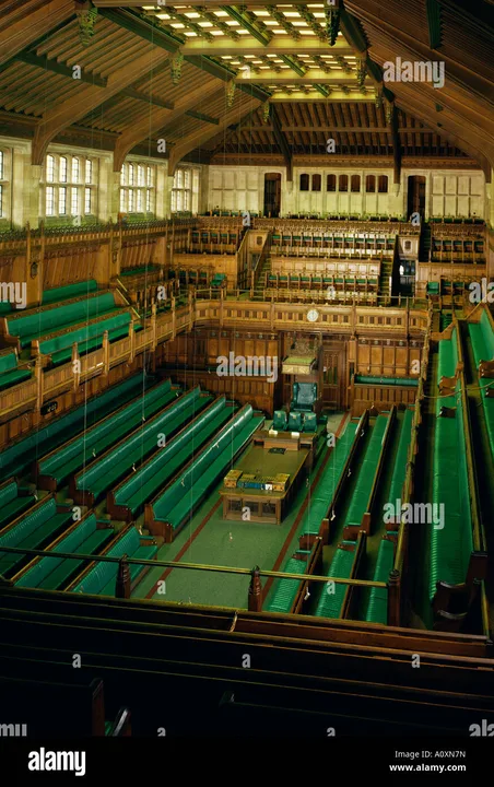 Encouraging Andrew Pelling to Stand for Re-election  