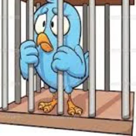 Save THE BIRD