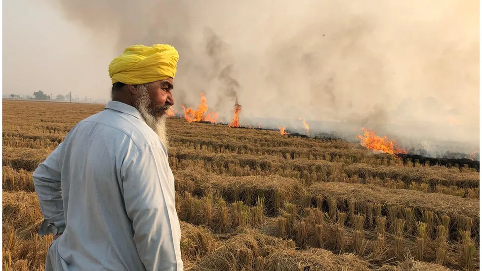 From Stubble to Manure: Let's Take the First Step.