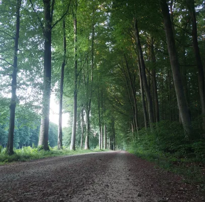 Geen fietssnelweg via het park van Tervuren !