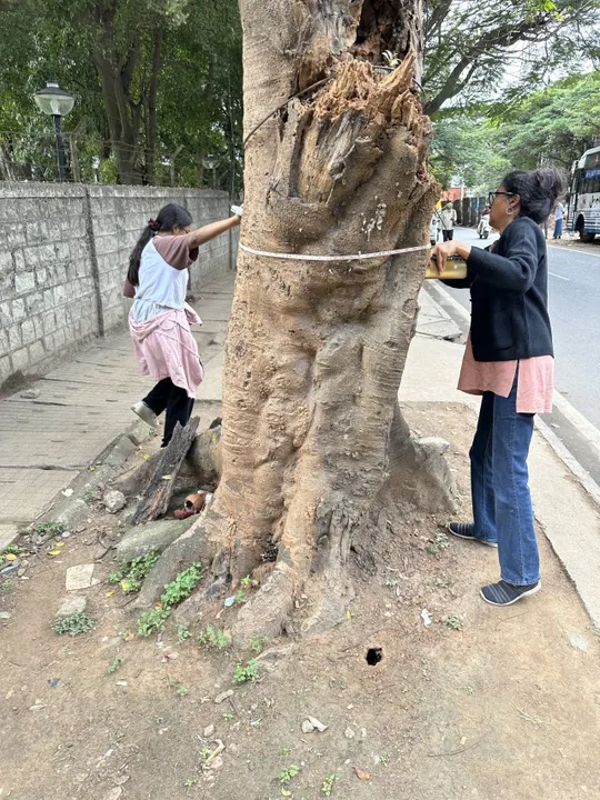 STOP RECKLESS CUTTING OF TREES IN VIDYANAGAR WITH HIDDEN COMMERCIAL BENEFITS