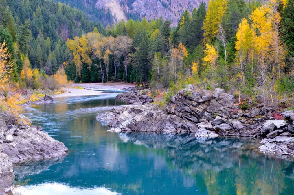 Flathead river motor restrictions