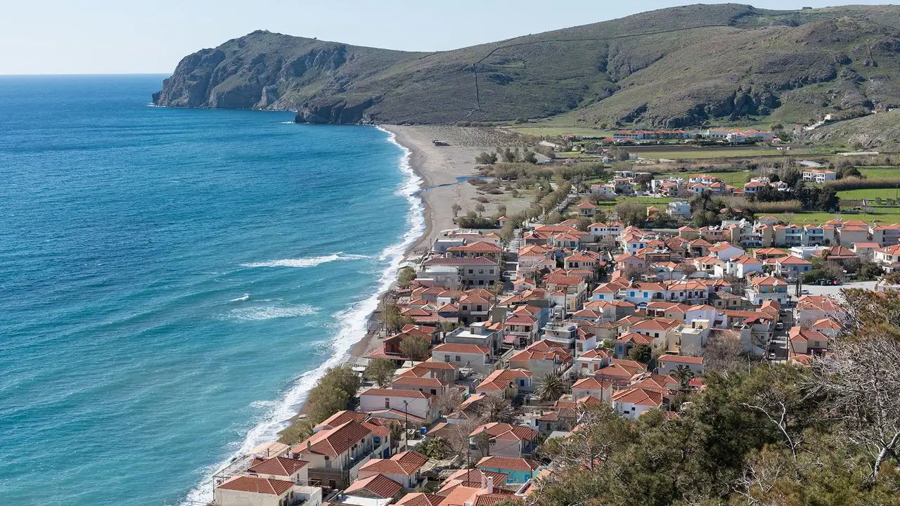 Tourists Against Poisoning Animals at Lesbos