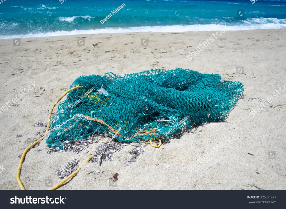Stop Set Netting on Rodney Residential Beaches