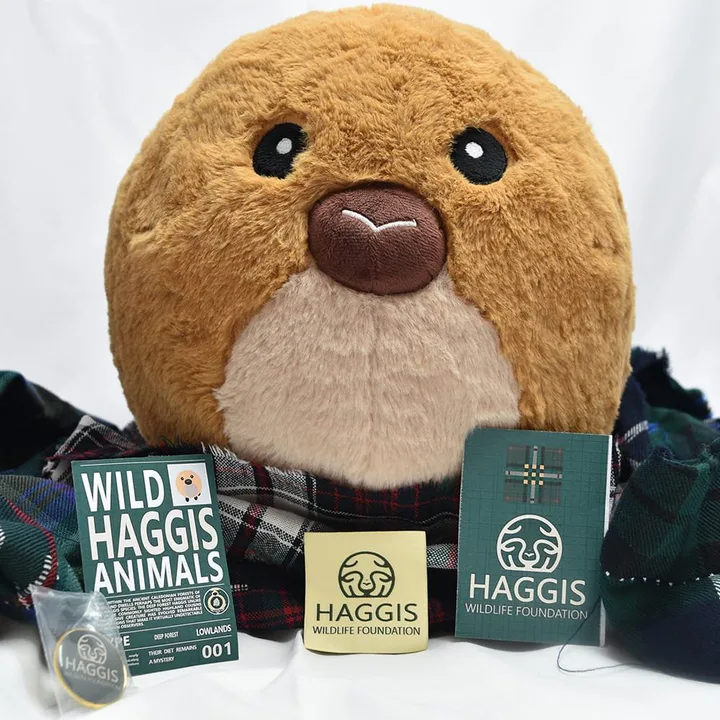 Save the hagiss