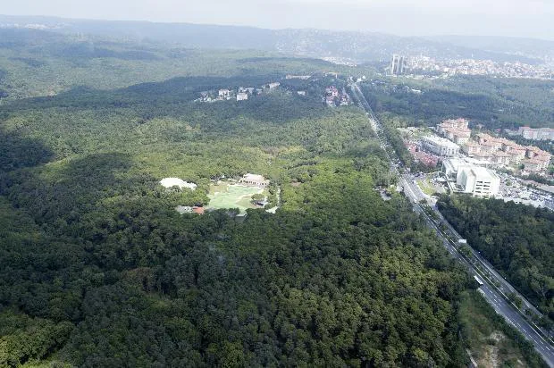 3. köprü nedeniyle 2 milyon ağacın kesilmesine karşıyım.