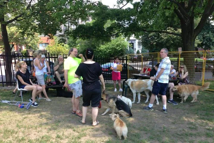 Les services pour les chiens à Laval