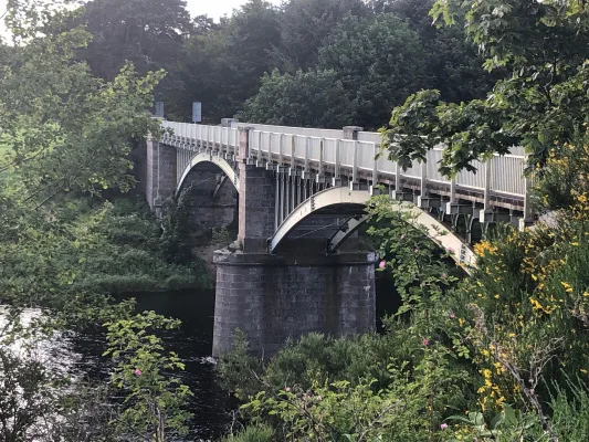 Save Park Bridge