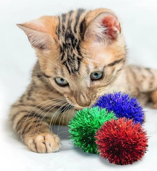 Give Alante Pom Poms!!