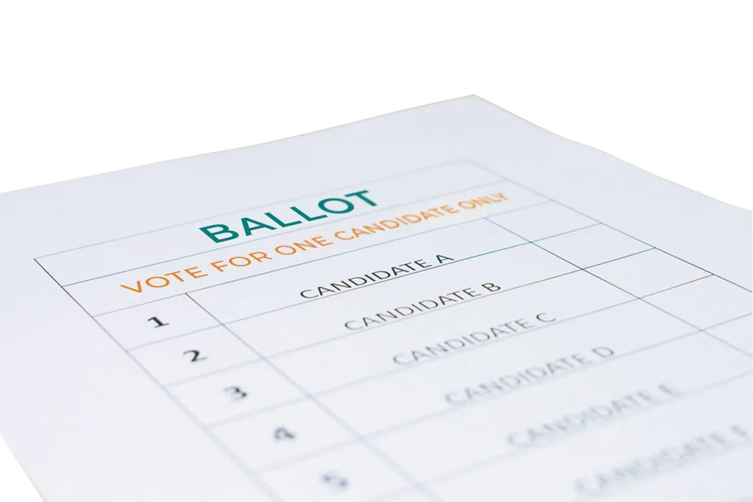 Anulare Mi Voto en 2014