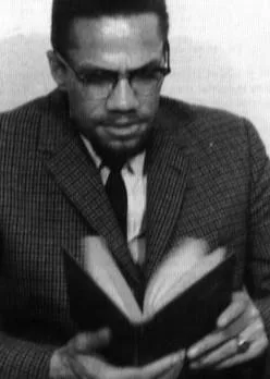 Establish a federal holiday in honor of Malcolm X in his commitment to Human Rights